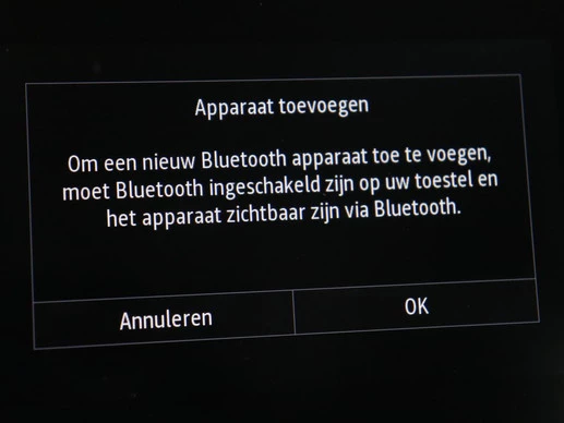 Renault Mégane - Afbeelding 19 van 30