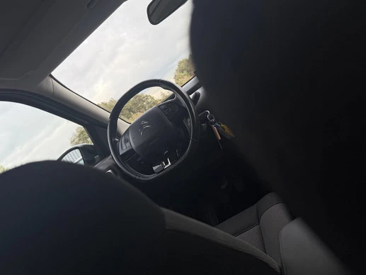 Citroën C4 Cactus - Afbeelding 18 van 30