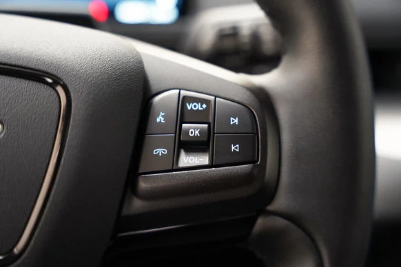 Ford Mustang Mach-E - Afbeelding 17 van 30