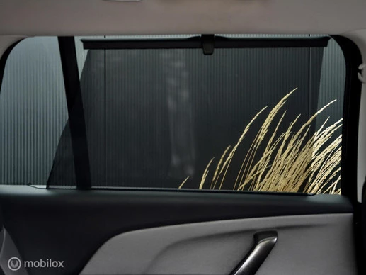 Citroën Grand C4 Picasso - Afbeelding 30 van 30