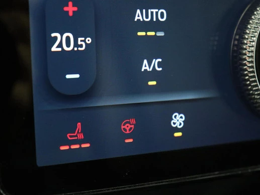 Ford Mustang Mach-E - Afbeelding 17 van 30