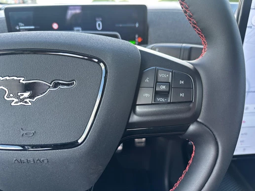 Ford Mustang Mach-E - Afbeelding 22 van 30