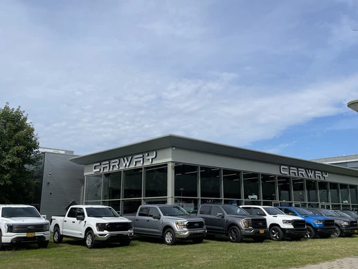 Ford F-150 - Afbeelding 6 van 22