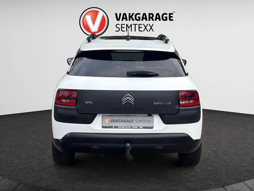 Citroën C4 Cactus - Afbeelding 7 van 22