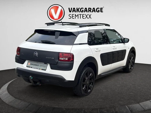 Citroën C4 Cactus - Afbeelding 8 van 22