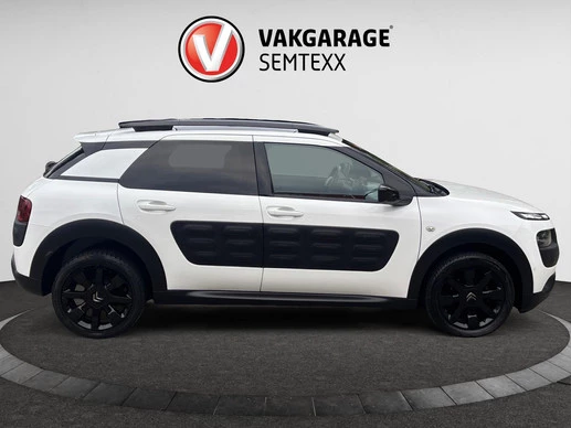 Citroën C4 Cactus - Afbeelding 9 van 22