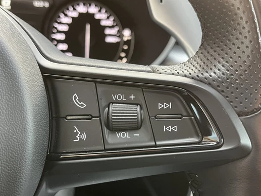 Alfa Romeo Stelvio - Afbeelding 15 van 30