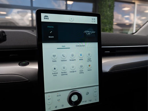 Ford Mustang Mach-E - Afbeelding 23 van 30