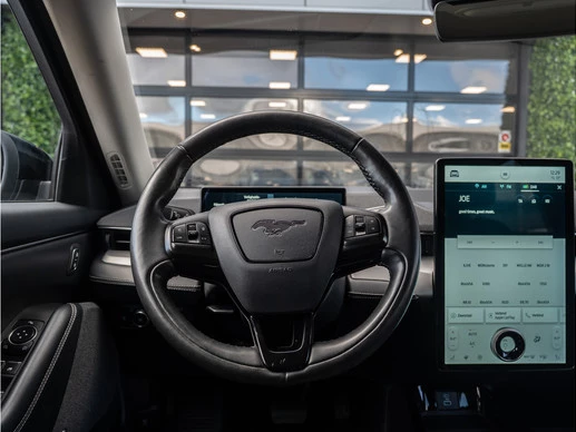 Ford Mustang Mach-E - Afbeelding 27 van 30