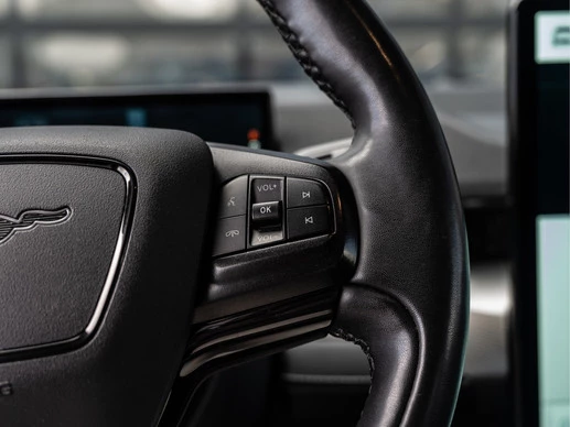 Ford Mustang Mach-E - Afbeelding 30 van 30