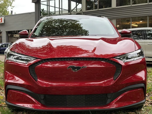 Ford Mustang Mach-E - Afbeelding 2 van 21