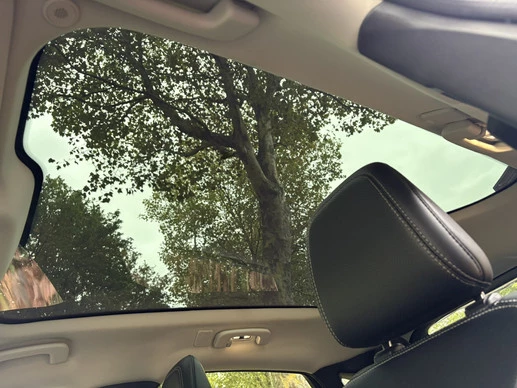 Ford Mustang Mach-E - Afbeelding 18 van 21