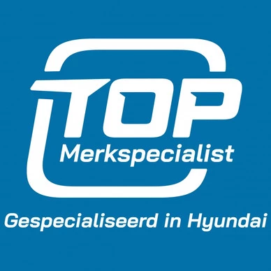 Hyundai i40 - Afbeelding 19 van 30