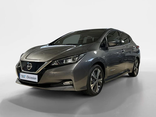 Nissan Leaf - Afbeelding 1 van 24