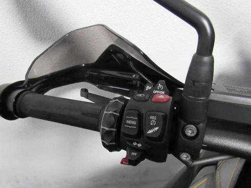 BMW R 1250 GS - Afbeelding 9 van 11