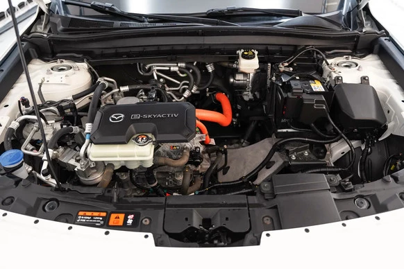 Mazda MX-30 - Afbeelding 27 van 30