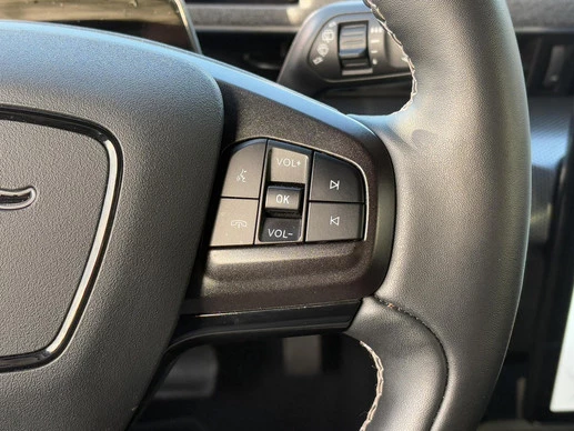 Ford Mustang Mach-E - Afbeelding 16 van 30