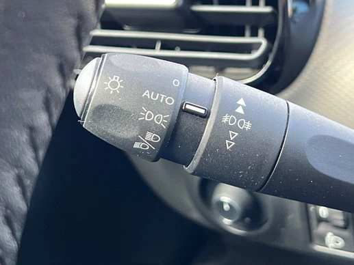 Citroën C4 Cactus - Afbeelding 22 van 26