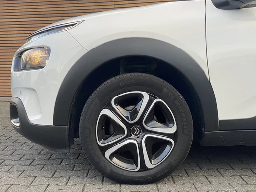 Citroën C4 Cactus - Afbeelding 13 van 30