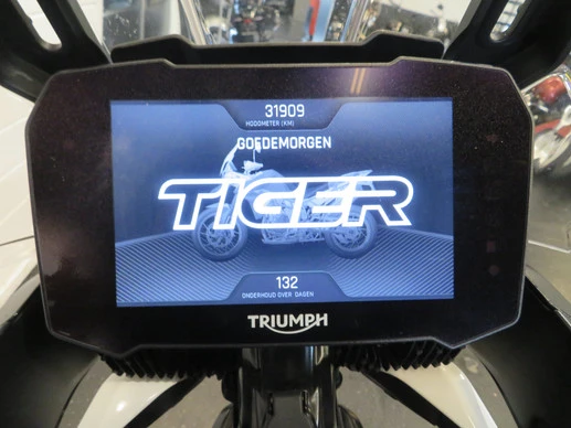 Triumph Tiger - Afbeelding 10 van 13