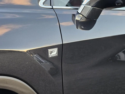 Lexus RX - Afbeelding 8 van 30