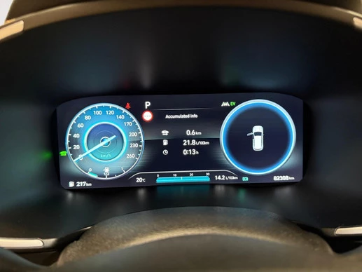 Hyundai Santa Fe - Afbeelding 16 van 22