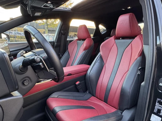 Lexus NX - Afbeelding 20 van 30