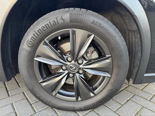 Lexus UX - Afbeelding 11 van 30