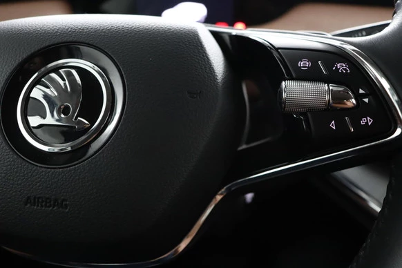 Škoda Enyaq iV - Afbeelding 22 van 30