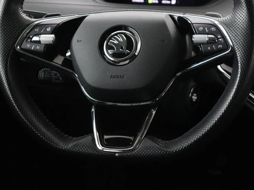Škoda Enyaq iV - Afbeelding 9 van 30
