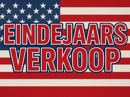 Dodge Ram Pick-Up - Afbeelding 2 van 30