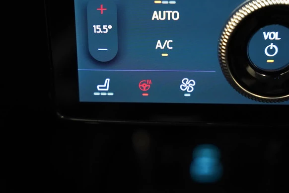 Ford Mustang Mach-E - Afbeelding 19 van 30