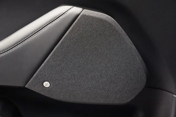 Ford Mustang Mach-E - Afbeelding 27 van 30