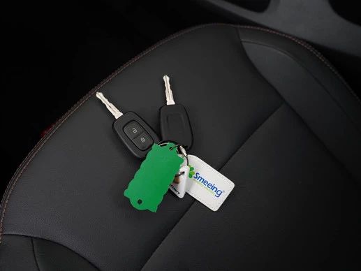 Dacia Spring - Afbeelding 30 van 30