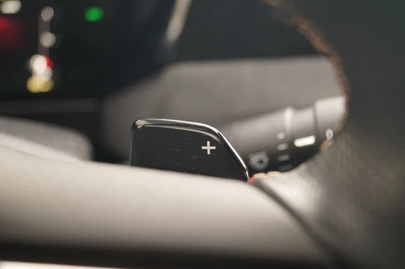 DS DS 4 - Afbeelding 24 van 30