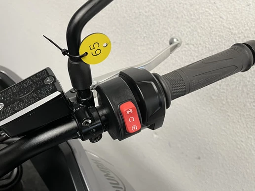 Triumph Tiger - Afbeelding 22 van 22