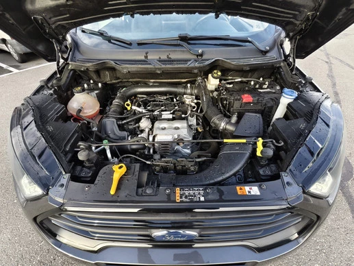 Ford EcoSport - Afbeelding 21 van 23