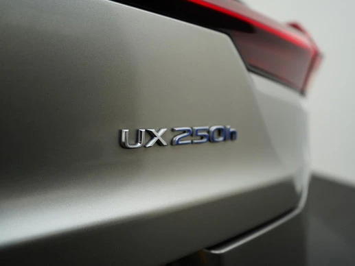 Lexus UX - Afbeelding 26 van 30