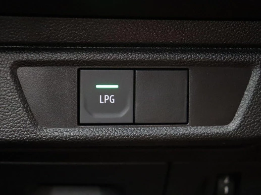 Dacia Sandero - Afbeelding 20 van 30