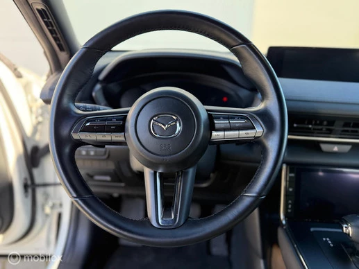 Mazda MX-30 - Afbeelding 14 van 30