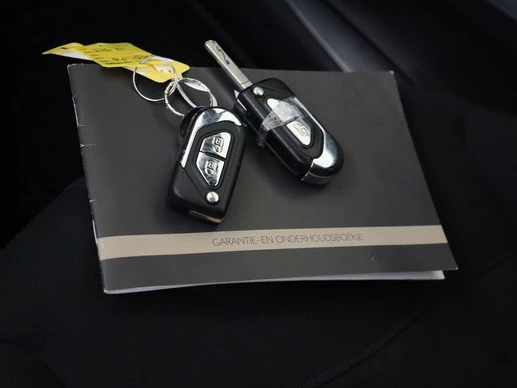 DS DS 3 - Afbeelding 22 van 30