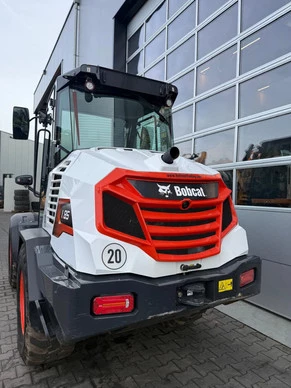 Bobcat  - Afbeelding 4 van 29