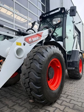 Bobcat  - Afbeelding 5 van 29