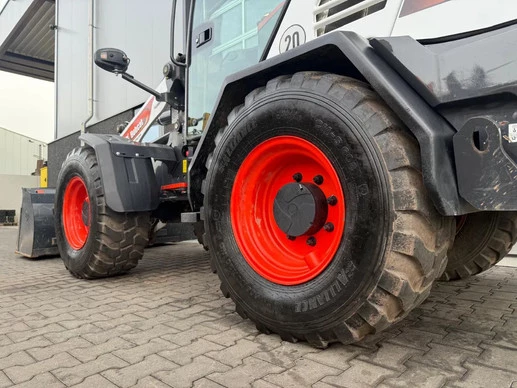 Bobcat  - Afbeelding 6 van 29