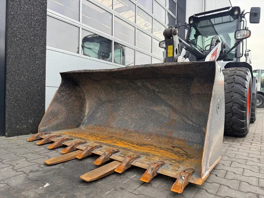 Bobcat  - Afbeelding 9 van 29