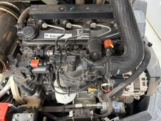 Bobcat  - Afbeelding 12 van 29