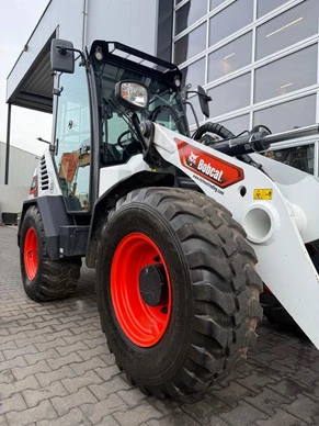 Bobcat  - Afbeelding 25 van 29