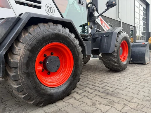 Bobcat  - Afbeelding 26 van 29