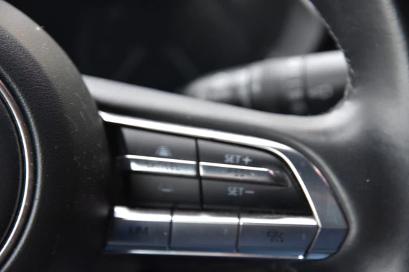 Mazda MX-30 - Afbeelding 10 van 15