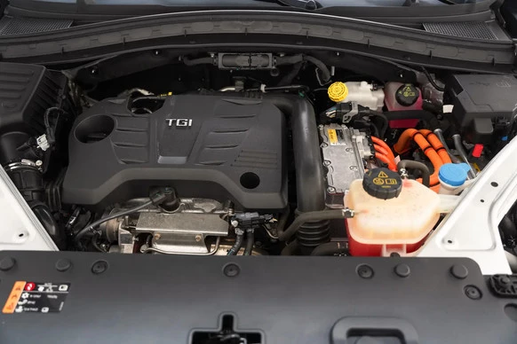 MG EHS - Afbeelding 29 van 30